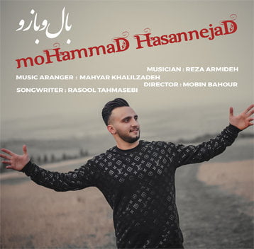 محمد حسن نژاد بال و بازو